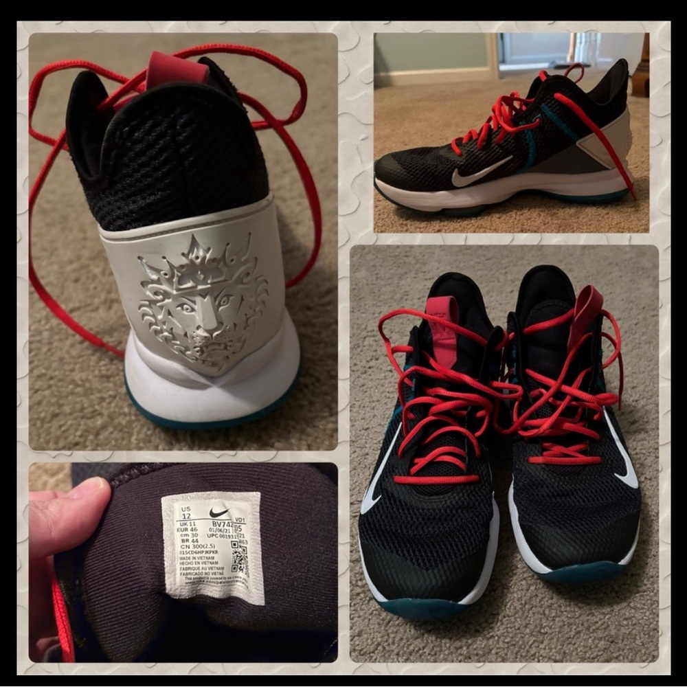 LeBron Witness IV